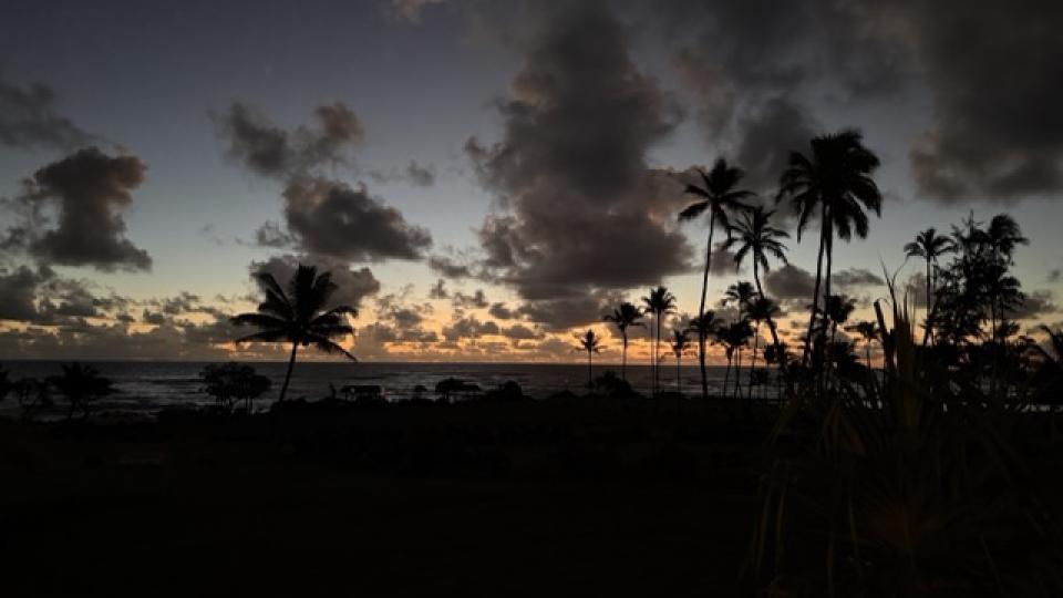 my office view this morning